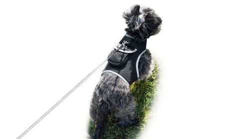 Pocket Waterproof Collar Mount GSM Puppy GPS Realtime Tracking Device Size:M