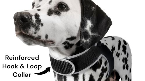 Portable GSM GPS Puppy Tracking Collar Waterproof Rechargeable Tracker Size:M