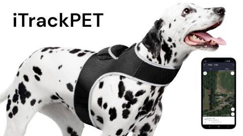 Portable Mini GSM GPS Collar Mounted Puppy Tracking Device Waterproof Size:M