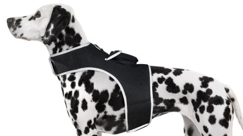 Portable Mini GSM GPS Locator Waterproof Puppy Tracking Collar Tracker Size:M