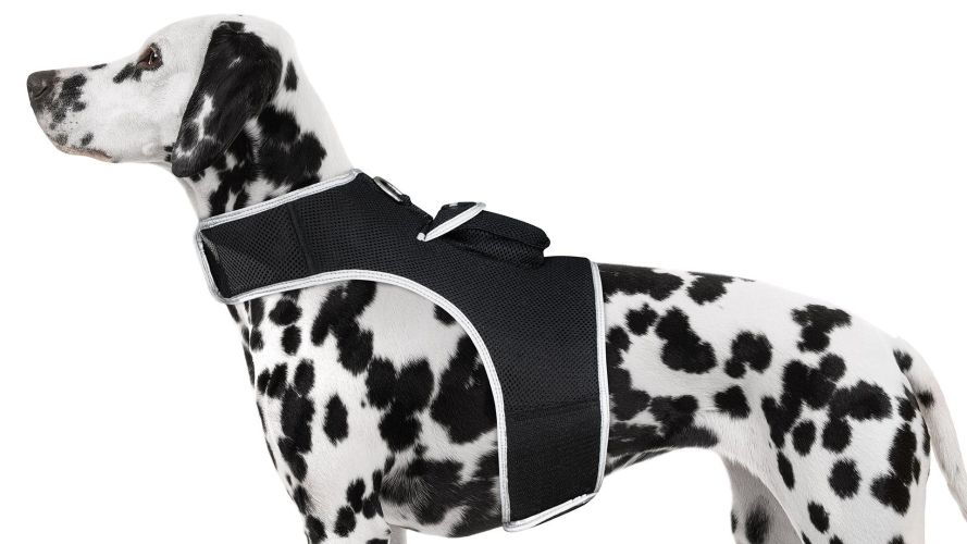 Portable Mini GSM GPS Locator Waterproof Puppy Tracking Collar Tracker Size:M