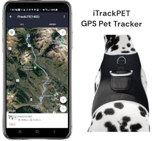 Waterproof Collar Mount Tracker Realtime GPS GSM Puppy Tracking Device Size:M