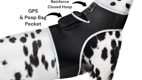 NEW Waterproof Realtime GSM GPS Mini Pet Puppy Tracking Collar Device Size:M