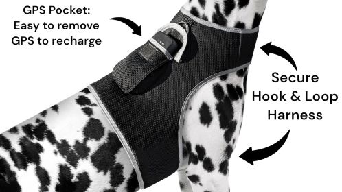 Waterproof Collar Mount Tracker Realtime GPS GSM Puppy Tracking Device Size:S