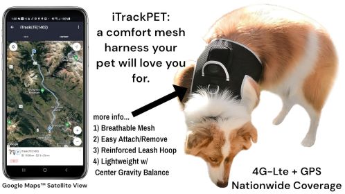 Rechargeable GSM Waterproof GPS Puppy Tracking Device Collar Mounted Size:S