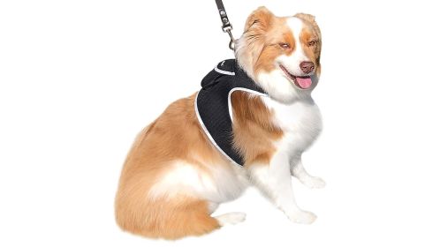 Portable Mini GSM GPS Locator Waterproof Puppy Tracking Collar Tracker Size:S
